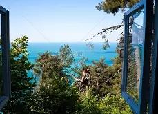 富兰克林风筝实验的故事-开云官方