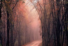 清晨国王杯传出新动向，北京国安更衣室发声，管理层表态——压力陡增，医务组通报恢复的简单介绍-开云官方网站